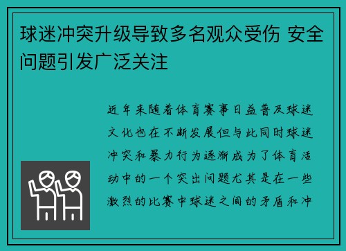 球迷冲突升级导致多名观众受伤 安全问题引发广泛关注