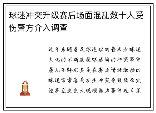 球迷冲突升级赛后场面混乱数十人受伤警方介入调查
